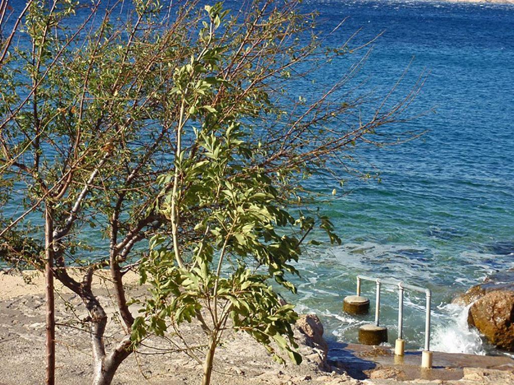 House Petra On The Beach-Sea Cesarica Εξωτερικό φωτογραφία