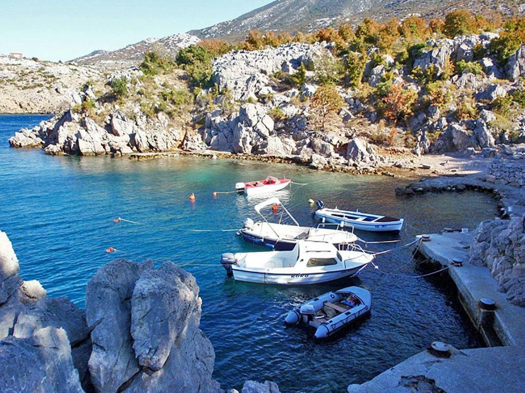House Petra On The Beach-Sea Cesarica Εξωτερικό φωτογραφία